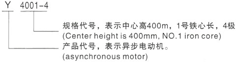 西安泰富西玛Y系列(H355-1000)高压YE2-200L2-6三相异步电机型号说明